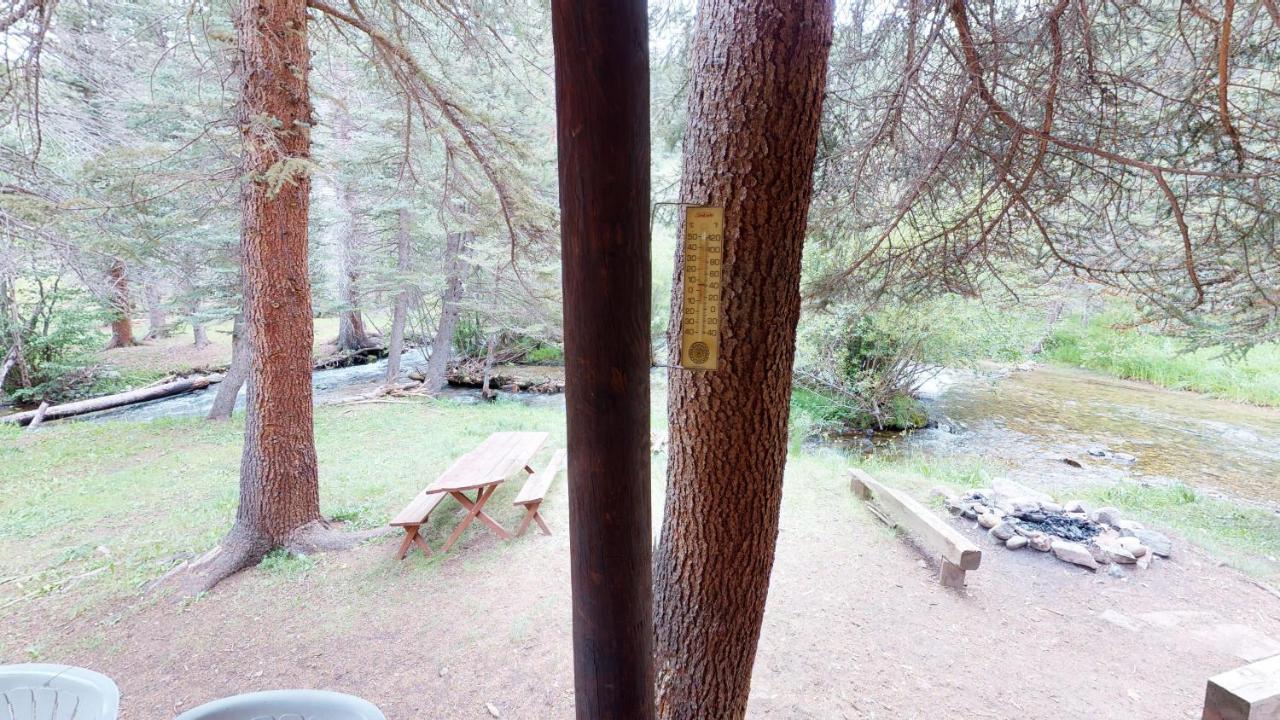 Bear Bait Cabin In Upper Valley With High Speed Wifi Red River Eksteriør bilde