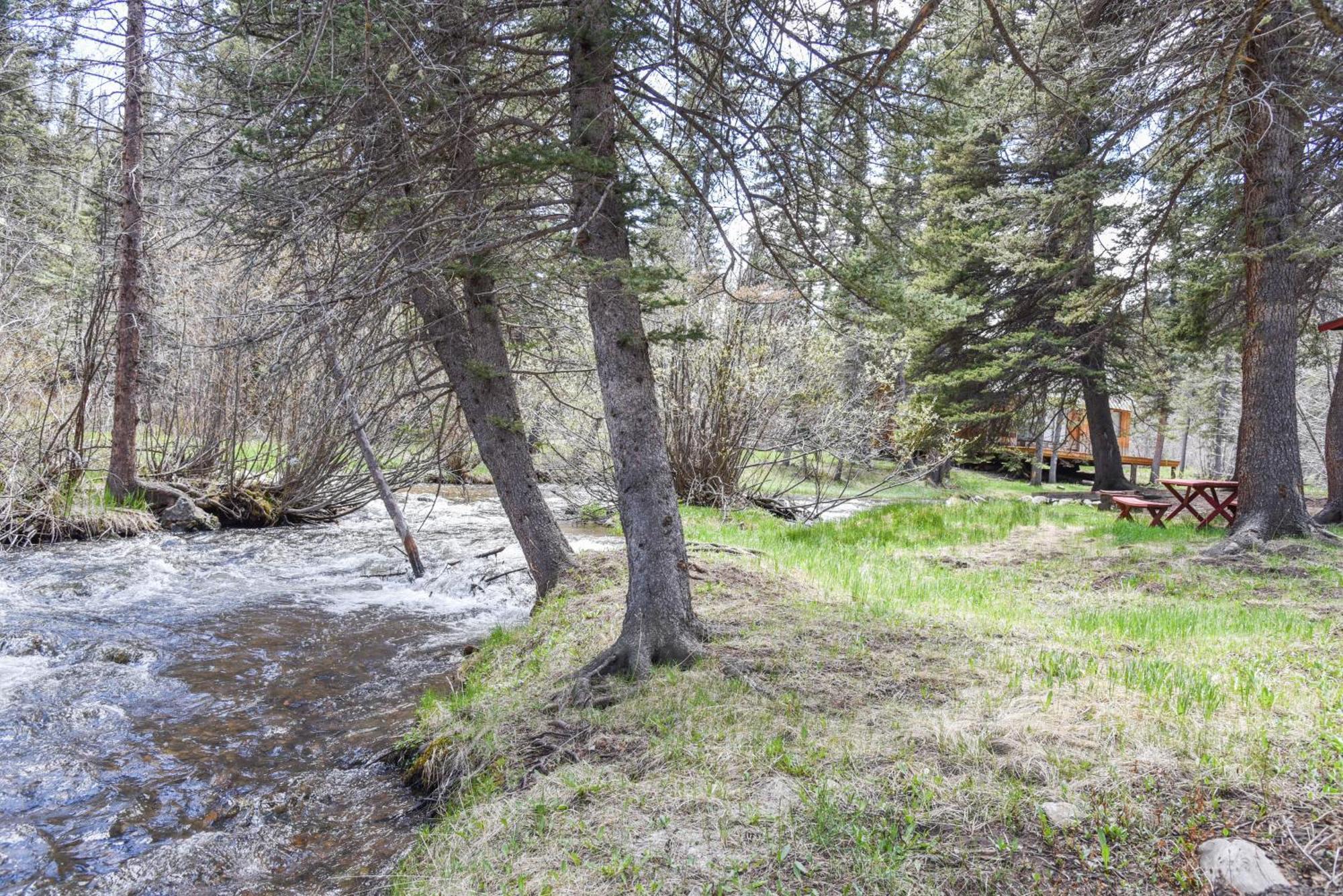Bear Bait Cabin In Upper Valley With High Speed Wifi Red River Eksteriør bilde